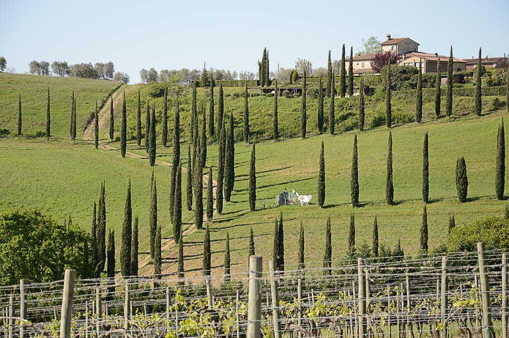 Adalberto - Nella Dimora Di Fulignano San Gimignano Exterior photo